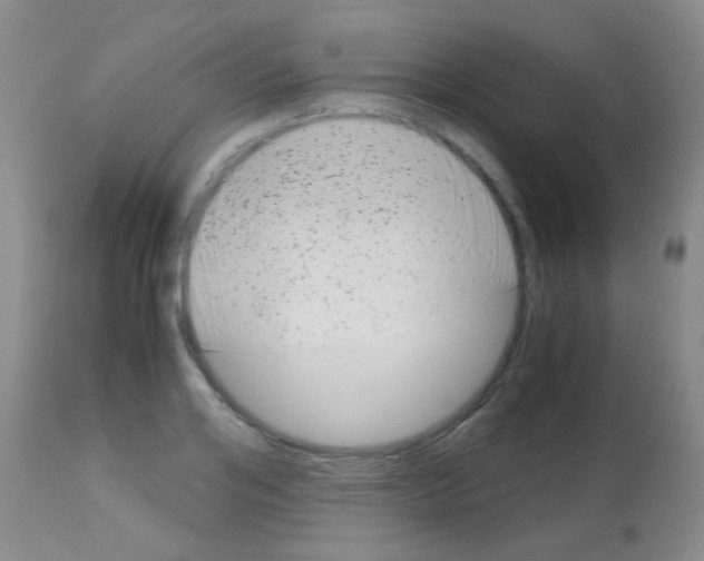 X0000113140984200910161151