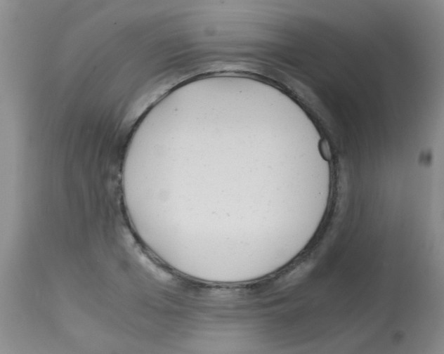 X0000113140985200910161151