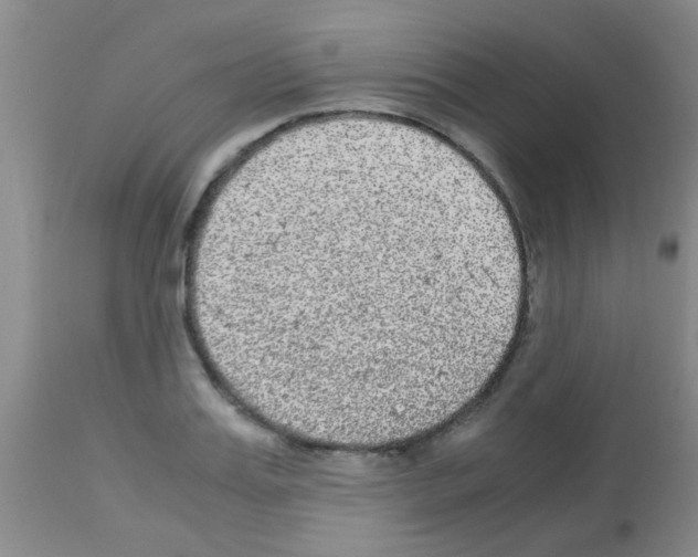 X0000113140987200910161151