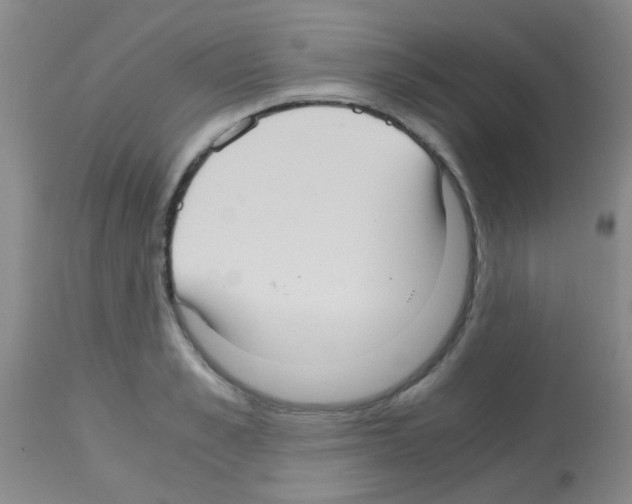 X0000113140989200910161151