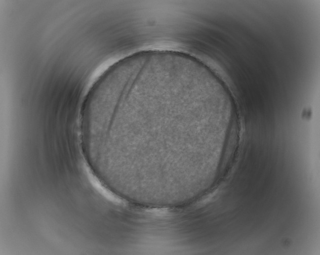 X0000113140990200910161151