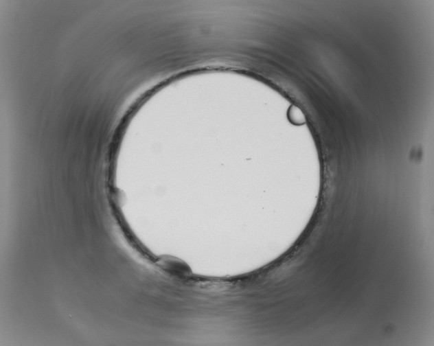 X0000113140991200910161151