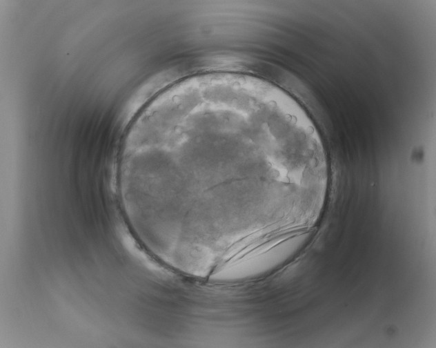 X0000113140994200910161151