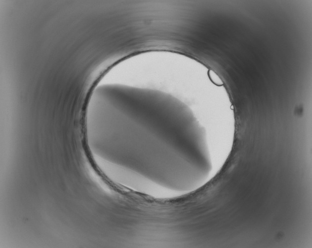X0000113140995200910161151