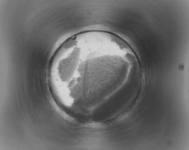 X0000113140998200910161151