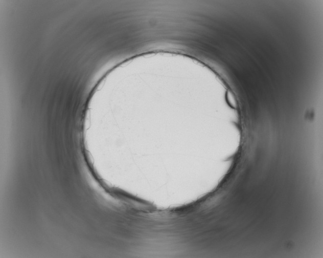X0000113140999200910161151