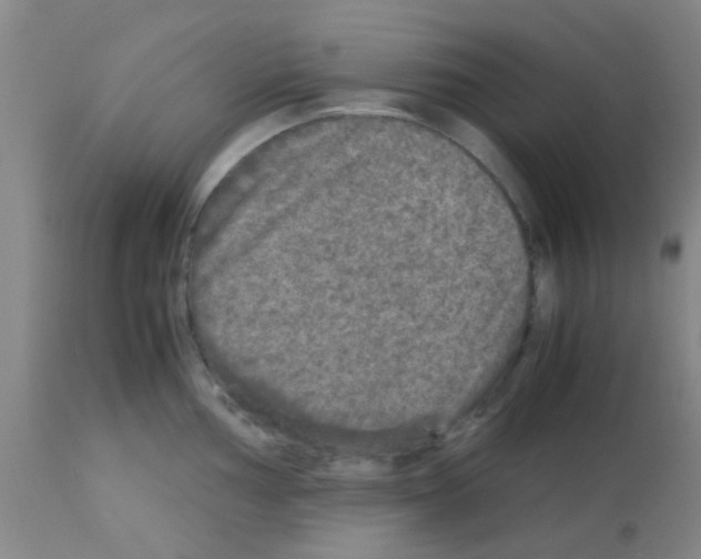 X0000113141002200910161151