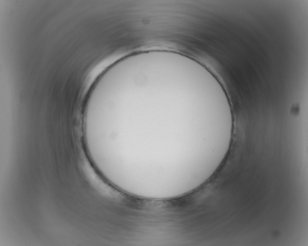 X0000113141003200910161151