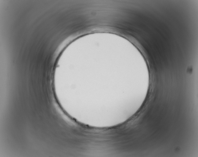 X0000113141005200910161151