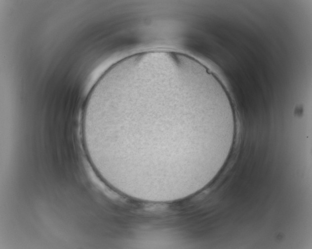 X0000113141006200910161151