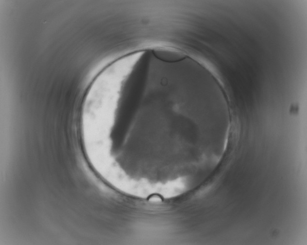 X0000113141007200910161151