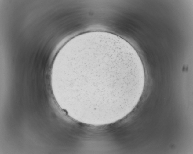 X0000113141008200910161151