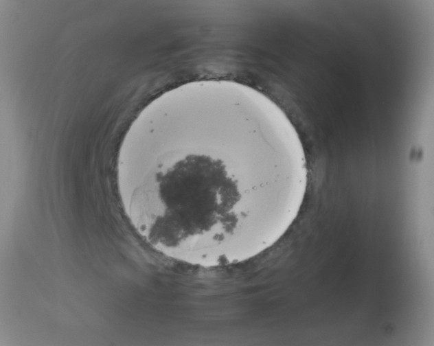 X0000113141009200910161150