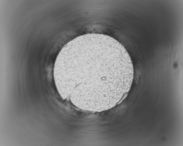 X0000113141010200910161150
