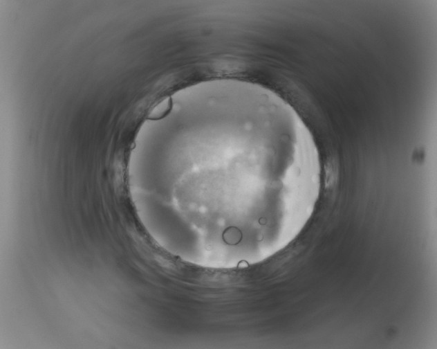 X0000113141011200910161150