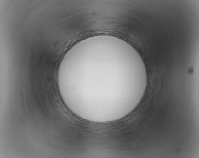 X0000113141012200910161150