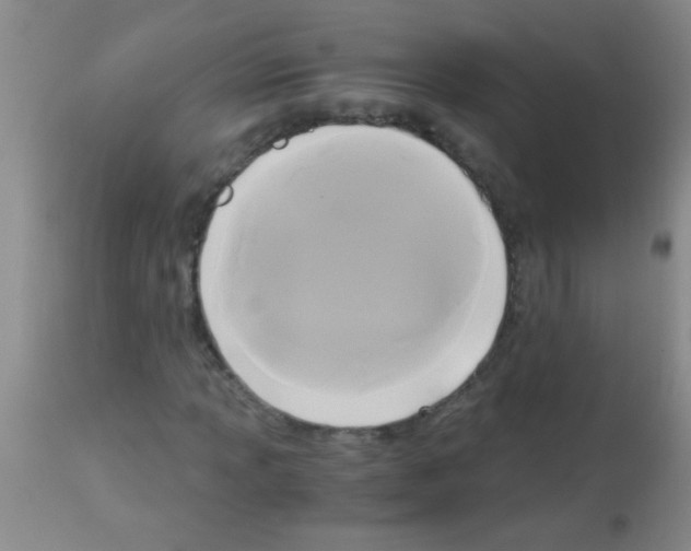 X0000113141013200910161150