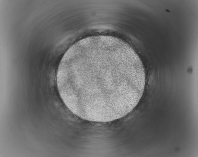 X0000113141014200910161150
