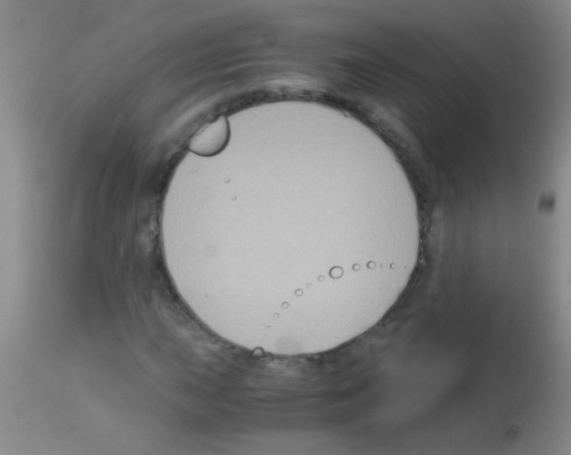 X0000113141015200910161150
