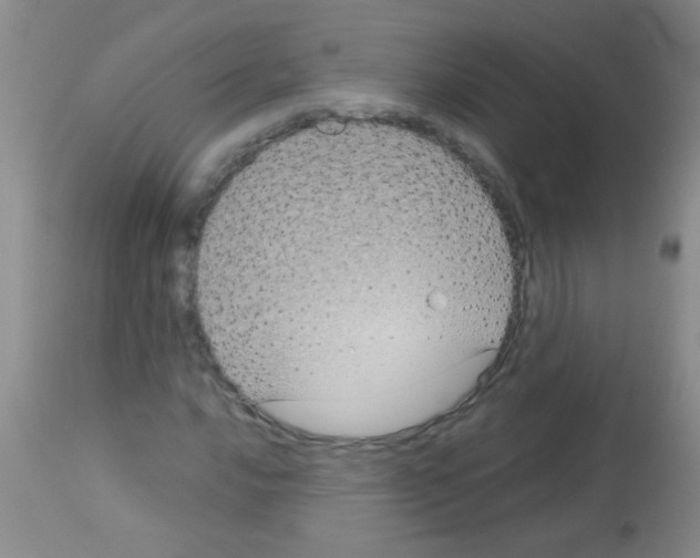 X0000113141016200910161151