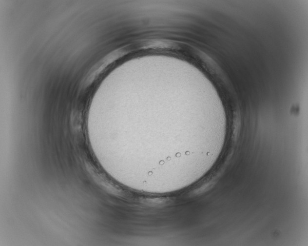 X0000113141017200910161151