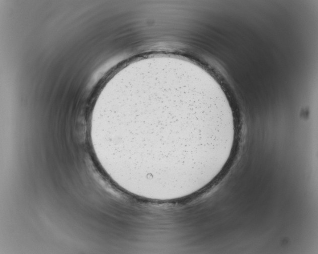 X0000113141018200910161151