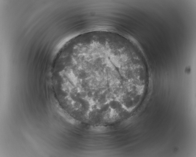 X0000113141019200910161151