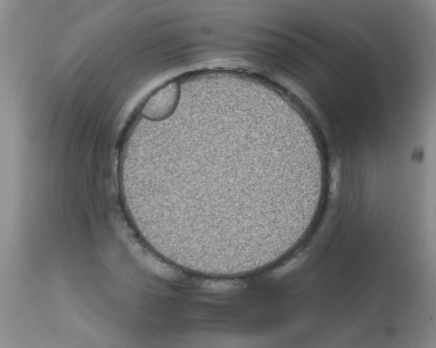 X0000113141021200910161151
