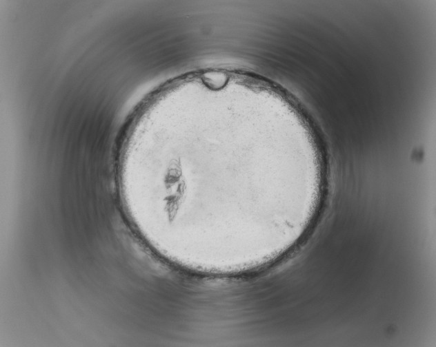 X0000113141022200910161151