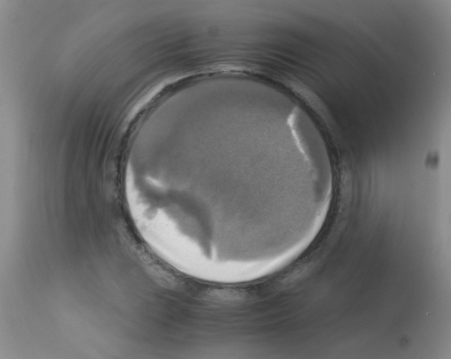 X0000113141023200910161151