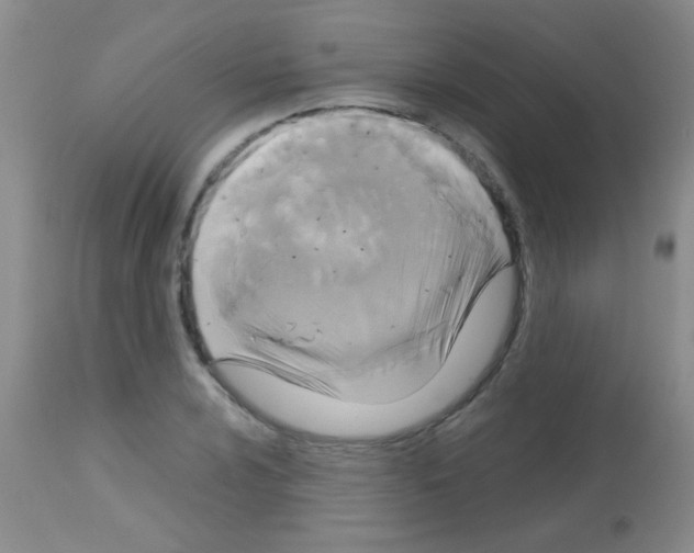X0000113141024200910161151