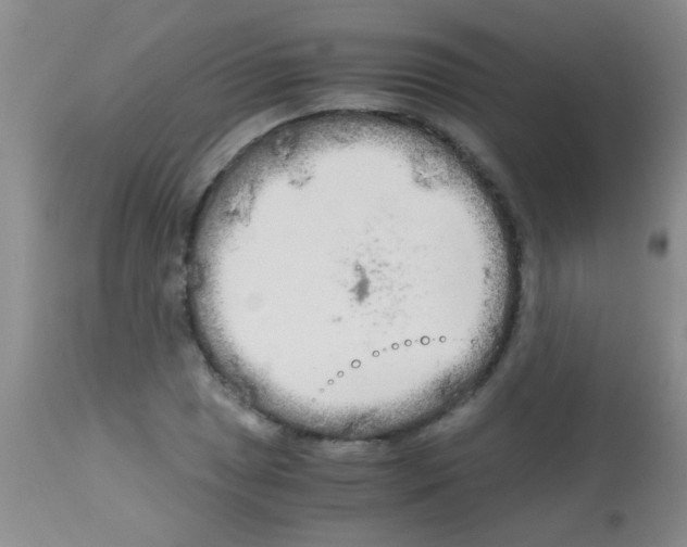 X0000113141025200910161151