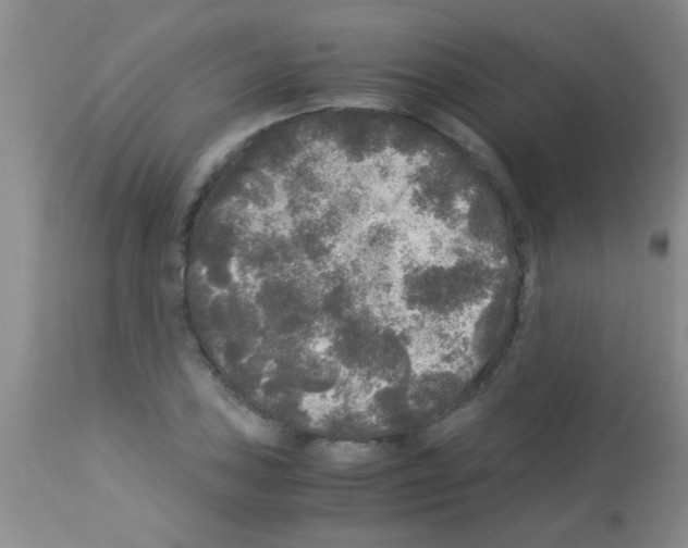 X0000113141027200910161151