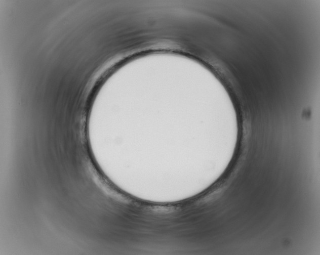 X0000113141029200910161151