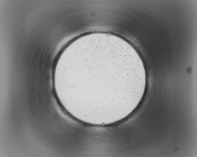 X0000113141030200910161151