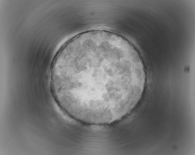 X0000113141032200910161151