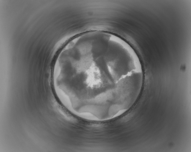 X0000113141035200910161151