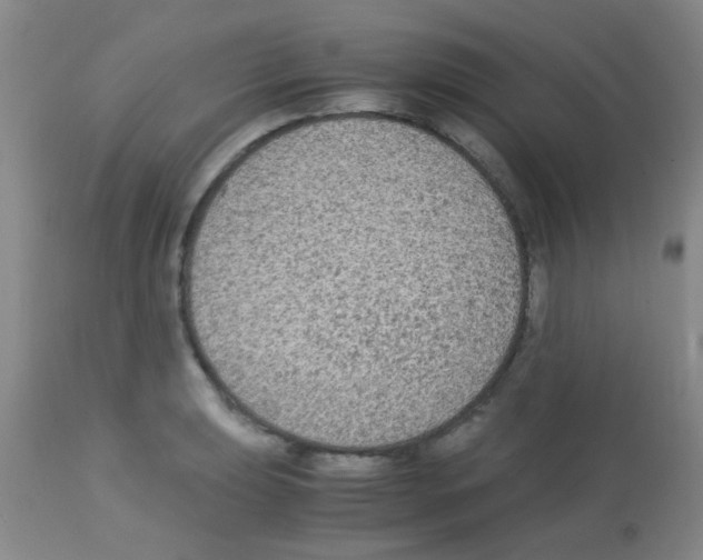 X0000113141039200910161151