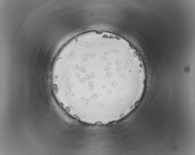 X0000113141040200910161151