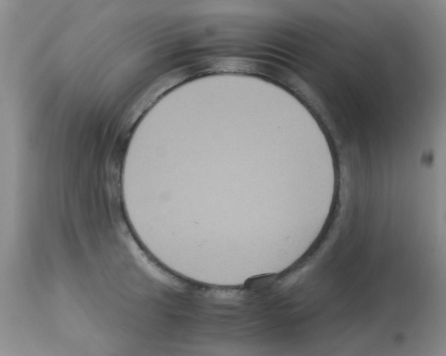 X0000113141041200910161151