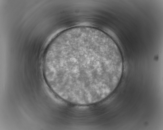 X0000113141043200910161151