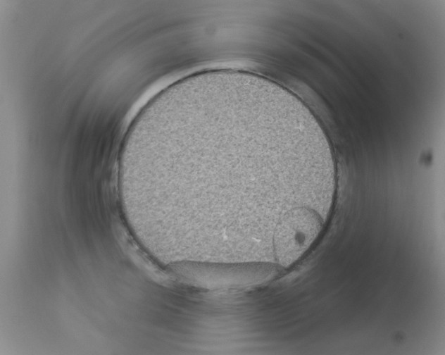 X0000113141044200910161151