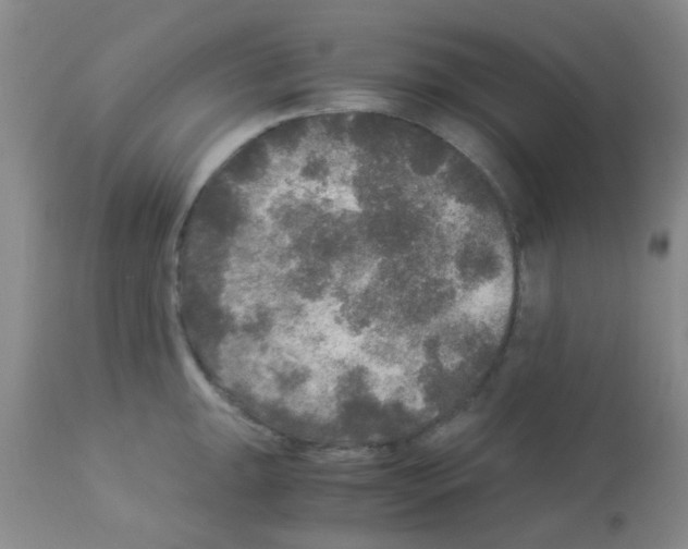 X0000113141047200910161151