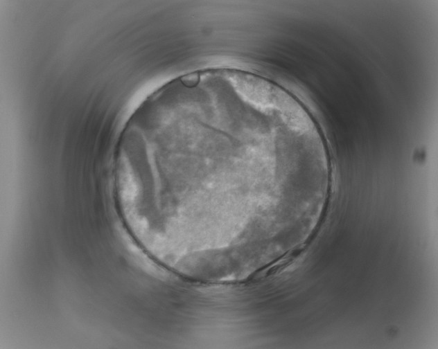 X0000113141048200910161151