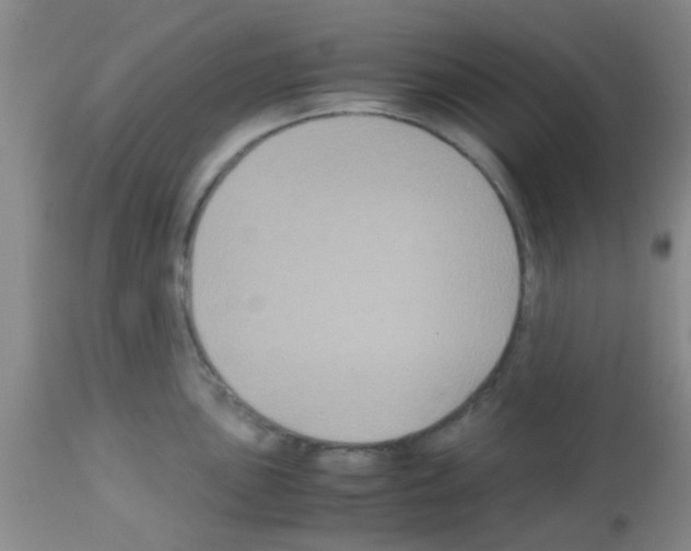X0000113141051200910161151
