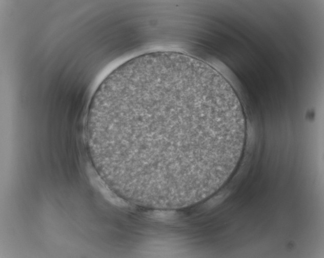 X0000113141052200910161151