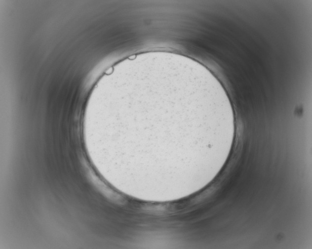 X0000113141054200910161151