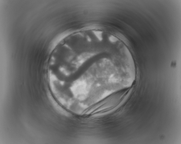 X0000113141055200910161151