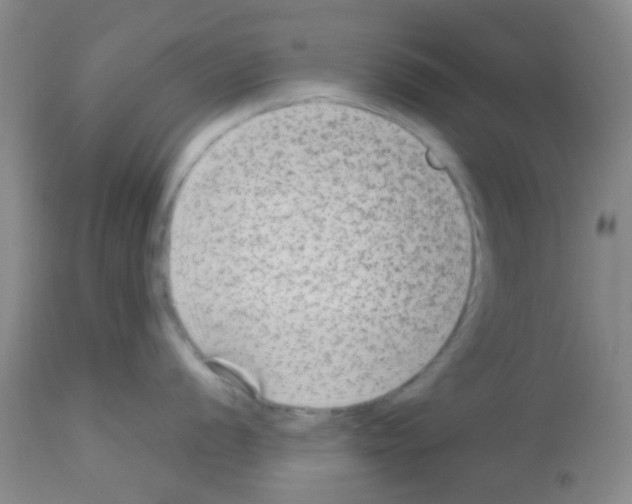 X0000113141056200910161151