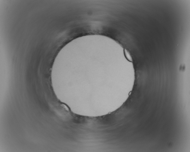 X0000113141057200910161150